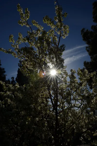 DSC_1178 (Large).JPG